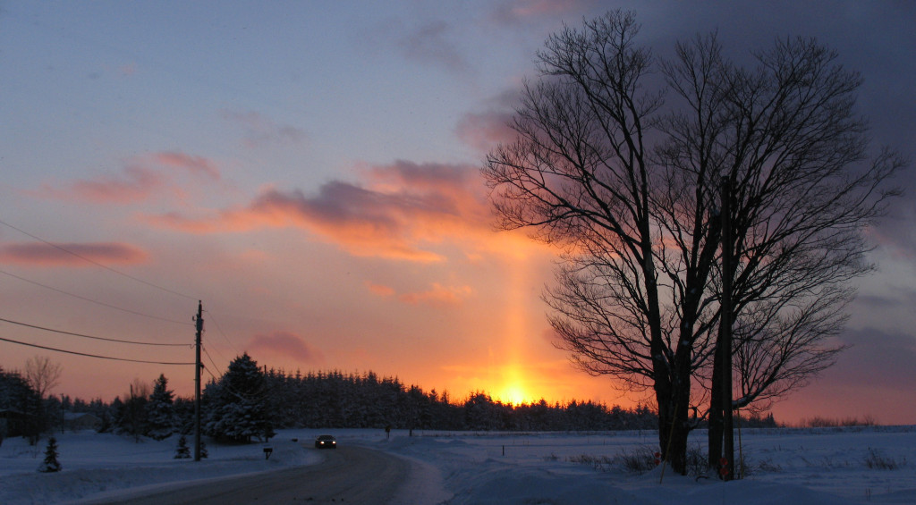 The Phantom Hitchhiker of the Haynesville Woods